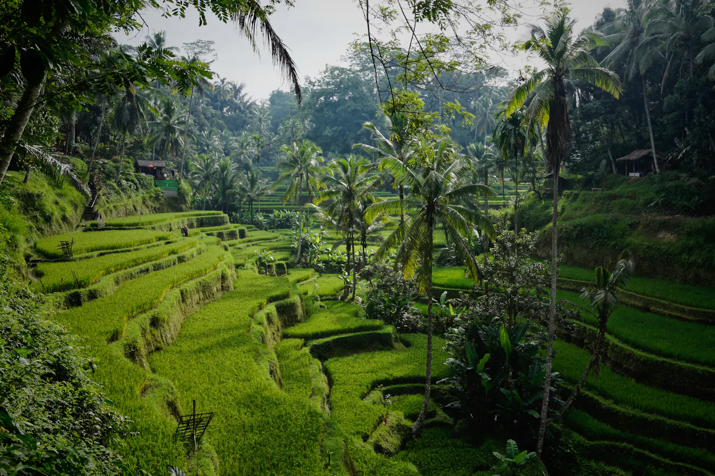 Bali, Indonesia – luxury travel destination
