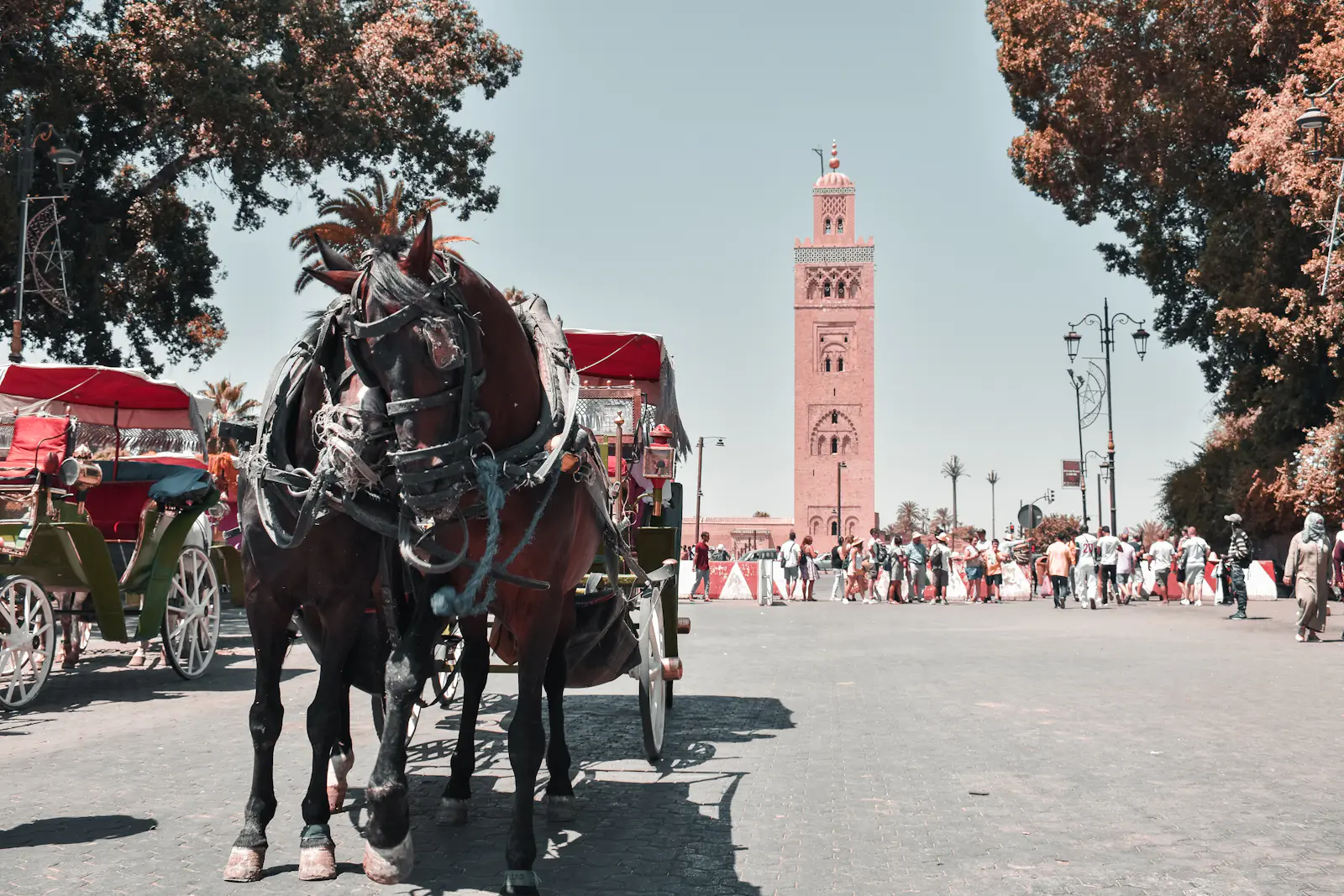 Marrakech, Morocco – luxury travel destination