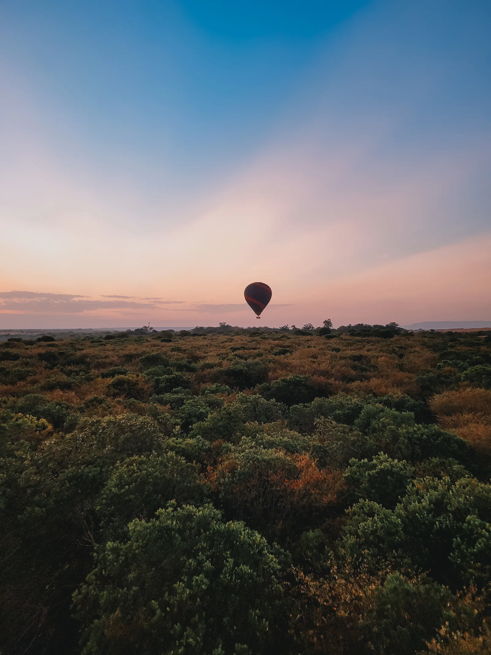 Hot-air balloon over the savannah at sunrise