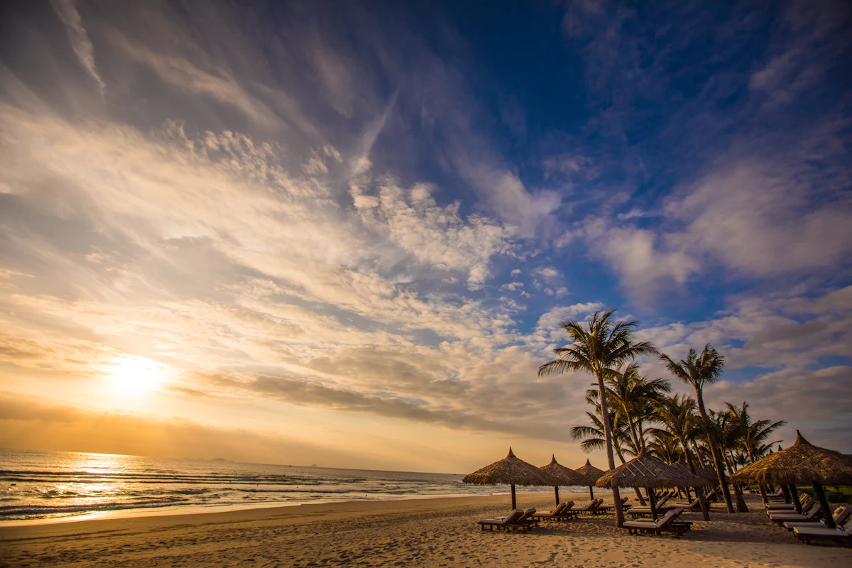 A private stretch of palm-fringed shoreline at golden hour