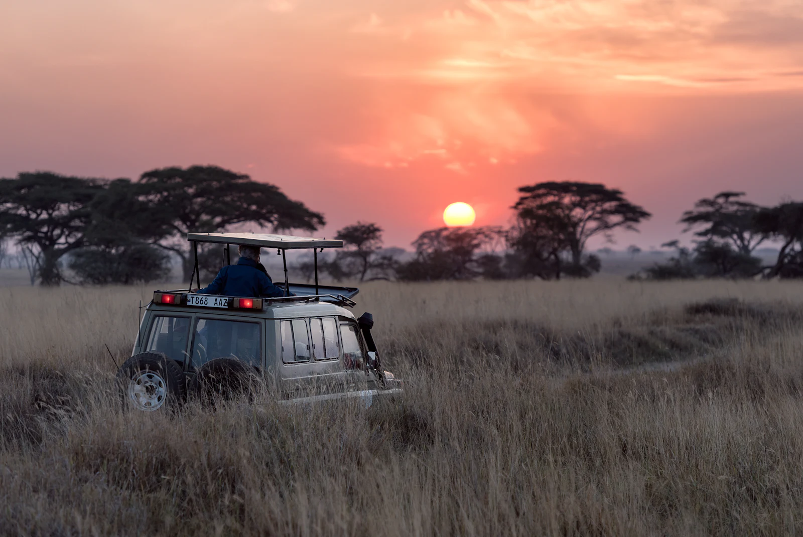 Serengeti safari 4
