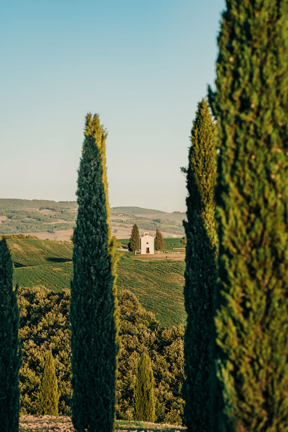 Val d'Orcia UNESCO landscape with cypress trees and rolling hills Tuscany