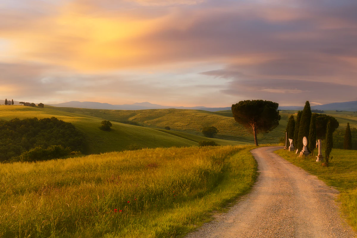 Cypress-lined country road winding through the rolling hills of Tuscany